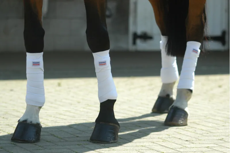 John Whitaker Training Bandages